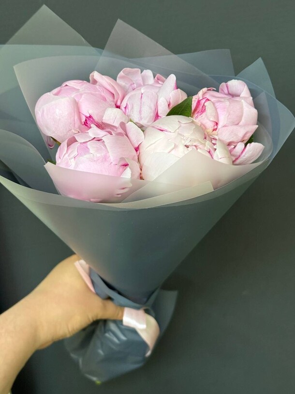 Букет из пионов 5 шт за 5856₽ с доставкой в Москве от PROTEA на Flawery