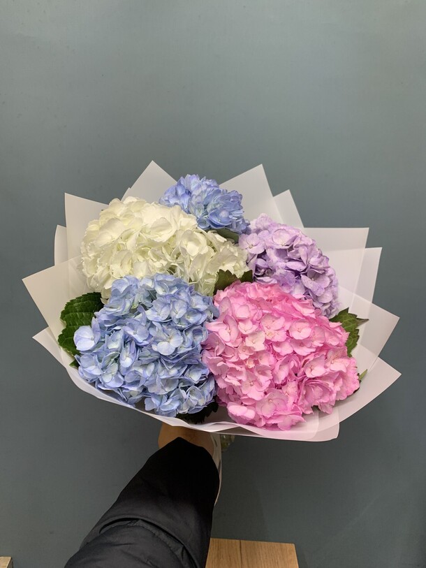 Букет цветов Гортензия 5шт за 3898₽ с доставкой в Москве от Umma Flowers на Flawery