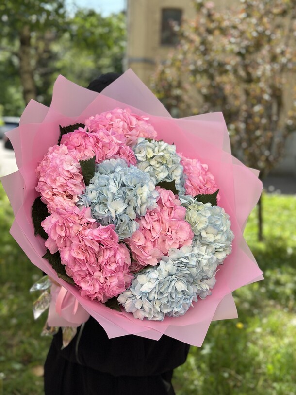 Букет из 9 гортензии за 6050₽ с доставкой в Москве от Start flowers на Flawery