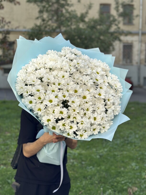 Букет из 25 хризантем за 7699₽ с доставкой в Москве от Start flowers на Flawery