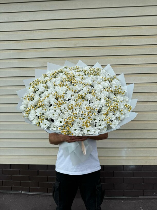 Букет из ромашек за 14465₽ с доставкой в Москве от Start flowers на Flawery