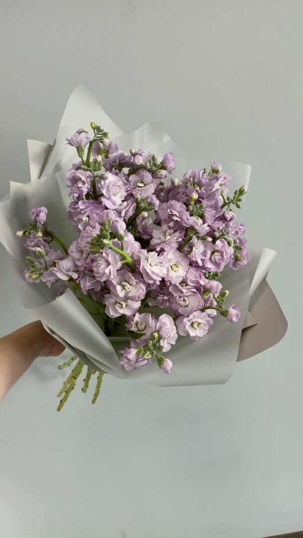 Букет 5 маттиол, артикул F1266188 - 3255 рублей, доставка по городу. Flawery - доставка цветов