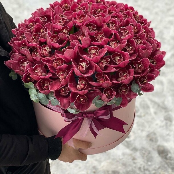 Букет цветов Орхидеи в коробке🌺 за 48506₽ с доставкой в Москве от Море цветов на Flawery