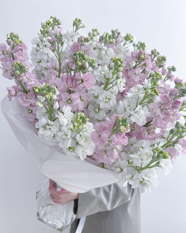 Букет цветов Маттиола🌸 за 16519₽ с доставкой в Москве от Море цветов на Flawery