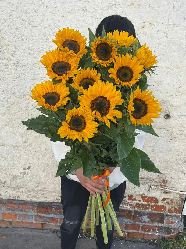 Букет из подсолнух🌻 за 16383₽ с доставкой в Москве от МИР ЦВЕТОВ на Flawery