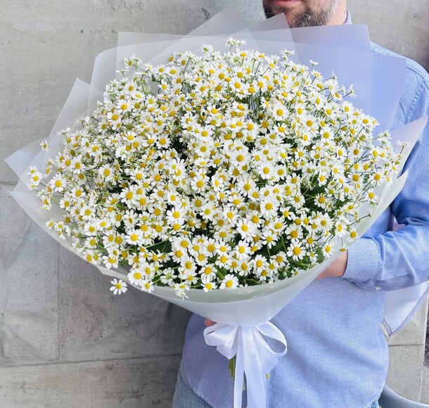 Букет цветов Нежные ромашки arenaflowers за 4950₽ с доставкой в Москве от ArenaFlowers на Flawery