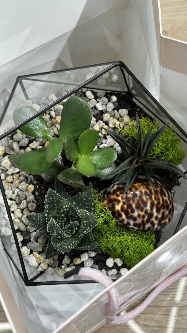Флорариум ,, дюна 1,, 🌵, артикул F1554491 - 8000 рублей, доставка по городу. Flawery - доставка цветов