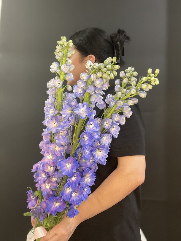 Букет цветов Дельфиниум за 3250₽ с доставкой в Москве от Eleven Flowers Studio на Flawery