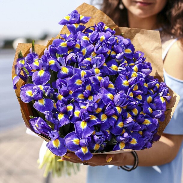 Букет цветов Яркий букет из 45 ирисов за 7000₽ с доставкой в Москве от Elite Flowers на Flawery