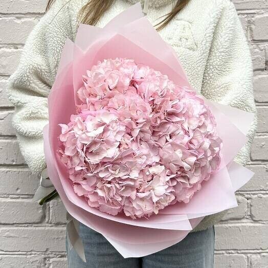 Букет с розовой гортензией за 3100₽ с доставкой в Москве от I’M FLOWER ПРОФСОЮЗНАЯ на Flawery