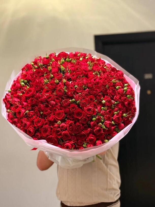 Букет цветов Монобукет из 151 красной кустовой розы за 35800₽ с доставкой в Москве от Kamila Flowers на Flawery