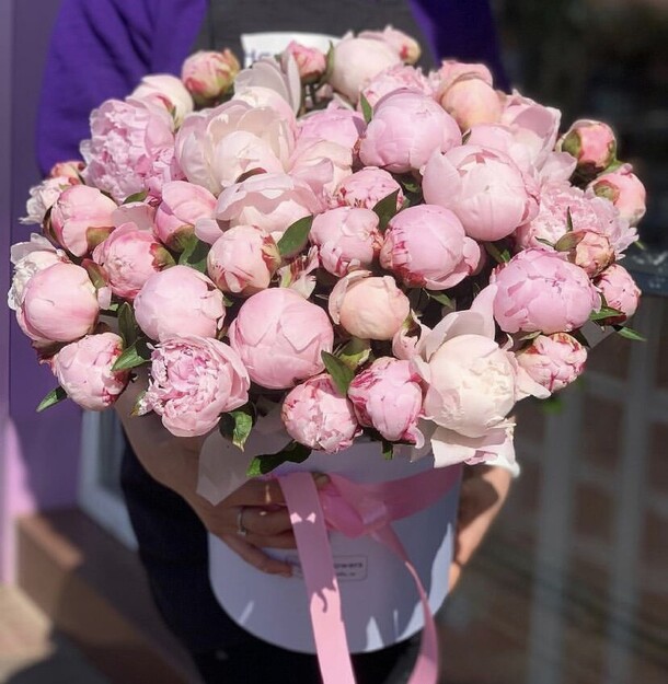 Букет цветов 51 пион в коробке за 65999₽ с доставкой в Москве от Fashion Flowers на Flawery