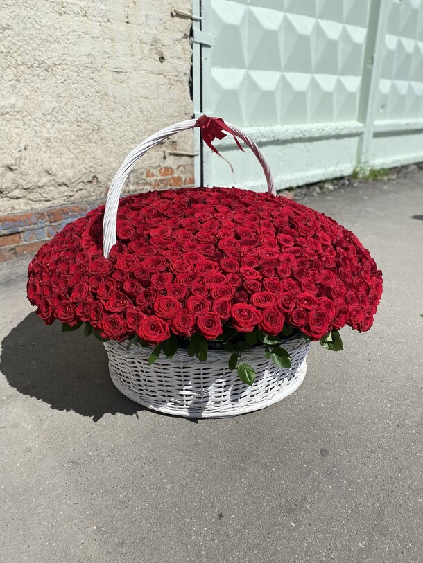 Букет цветов 501 роза в корзине «лазурный берег» за 164999₽ с доставкой в Москве от Fashion Flowers на Flawery