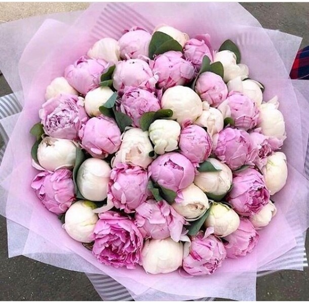 Букет цветов Бело-розовые пионы за 49499₽ с доставкой в Москве от Fashion Flowers на Flawery