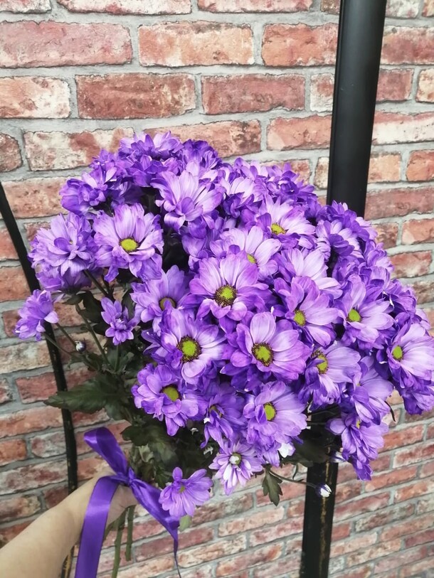 Букет кустовых хризантем «небесный» за 1750₽ с доставкой в Москве от Flowers-for-you на Flawery