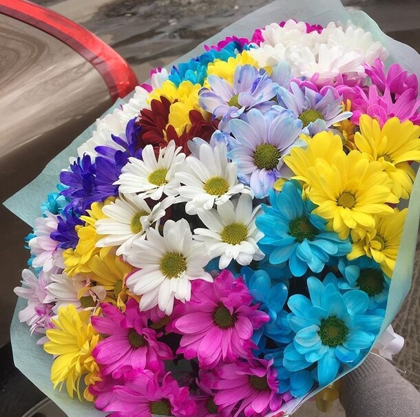 Букет «разноцветная ромашка» за 5100₽ с доставкой в Москве от Flowers-for-you на Flawery