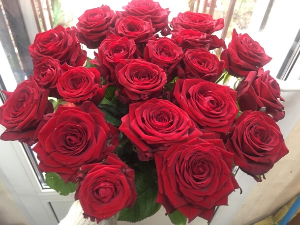 Букет цветов 21 ред наоми за 5250₽ с доставкой в Москве от Flowers-for-you на Flawery