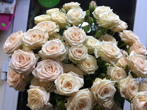 Букет кремовых кустовых роз за 3420₽ с доставкой в Москве от Flowers-for-you на Flawery