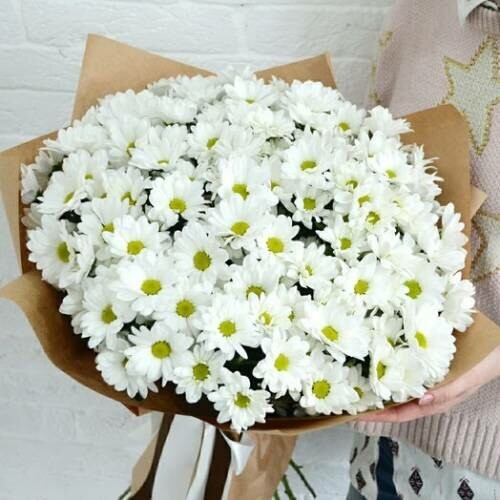 Букет кустовых хризантем 25 шт за 11300₽ с доставкой в Москве от Flowers-for-you на Flawery