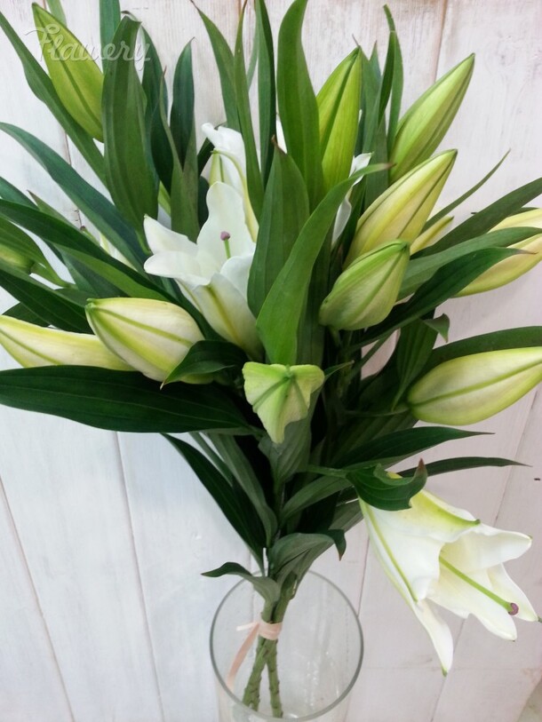 Букет из 5 лилий за 4995₽ с доставкой в Москве от GALA FLOWERS на Flawery