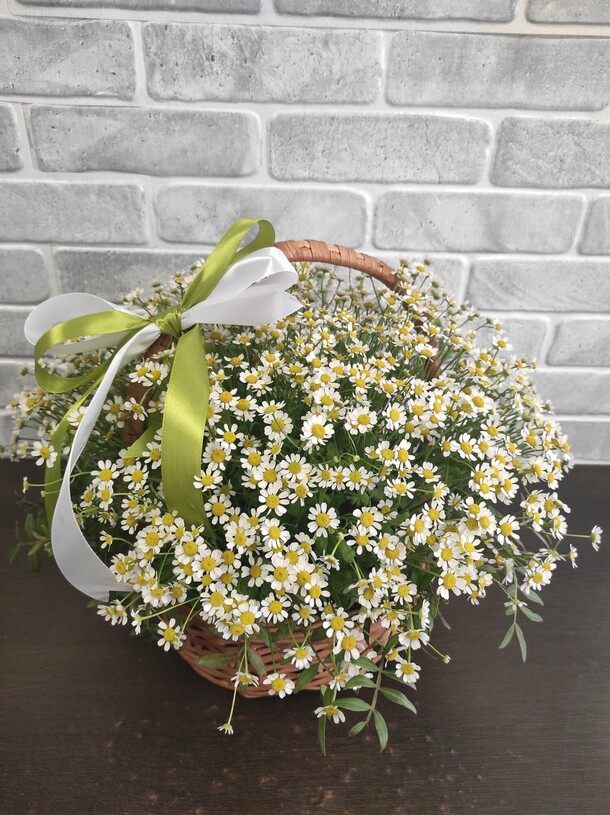 Корзина кустовых ромашек🌼🌼🌼, артикул F1074384 - 5335 рублей, доставка по городу. Flawery - доставка цветов