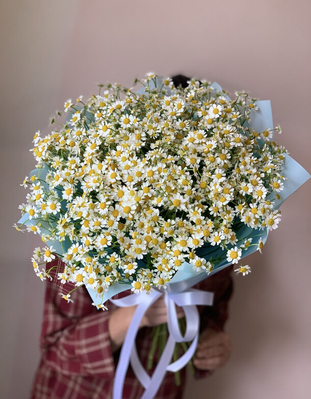 Букет из 19 кустовых ромашек за 3990₽ с доставкой в Москве от MagazinFlowers на Flawery