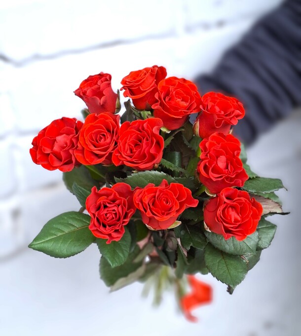 Букет роз 🌹🌹🌹 за 1100₽ с доставкой в Камышин от БериБукетик на Flawery