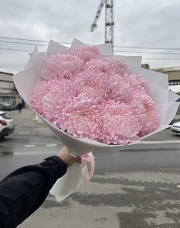 Букет цветов Хризантема за 7499₽ с доставкой в Москве от Elvira flovers на Flawery