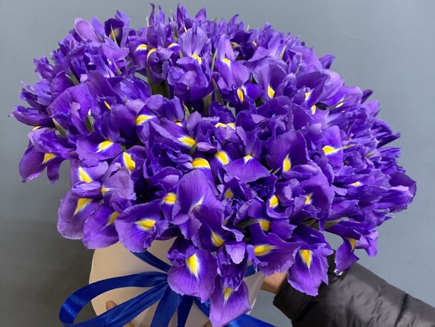 Букет цветов Ирис за 11299₽ с доставкой в Москве от Elvira flovers на Flawery