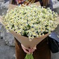 Букет из 25 ромашек в крафт