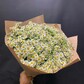 Букет из 25 ромашек
