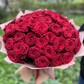 51 красная роза