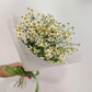 Букет из 5 кустовых ромашек