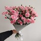 29 кустовых гвоздик