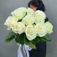 Букет из 11 белых одноголовых роз