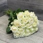 Роза белая-21