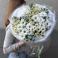 Ромашки и голубые незабудки - полевой букет