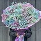 Радужная Гипсофила