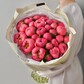 Пионы коралловые Корал Шарм 29 шт