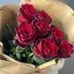 Розы Эквадор красные 7шт