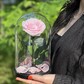 Нежно розовая «VIP» Роза в колбе в подарочной коробке- живет 5 лет. 29 см