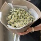 Букет из 25 кустовых ромашек в брендированной упаковке
