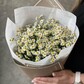 Букет из 15 кустовых ромашек в брендированной упаковке