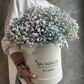 Радужная гипсофила в коробке