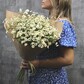 Полевой букет ромашек