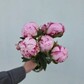 Букет из 5 розовый пионы