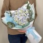 Гортензия в упаковке