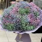 Радужная гипсафила