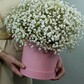 Белая гипсофила в коробке Bianco
