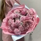 Diantus rose